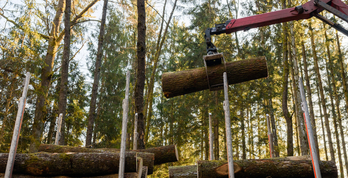 Usługi HDS - co to właściwie jest?